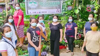 Ang Villa Berde Food Forest Farm sa Barangay Botocan, Quezon City