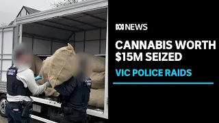 Victoria police seize more than a tonne of cannabis during raids | ABC News