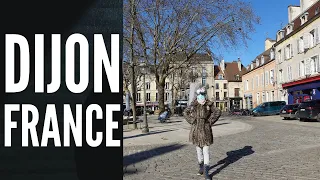 DIJON, FRANCE. La capitale de l’État de Bourgogne. The Palace of the Dukes and Estates of Burgundy