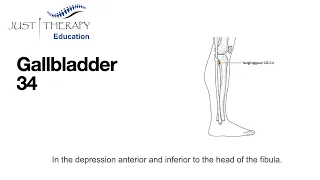 GB34 acupuncture point