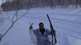 Охота на зайца с Гончими часть 22 (2019г)