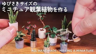 Making miniature houseplants