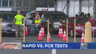 COVID: Rapid Or PCR Tests? Health Experts Weigh In