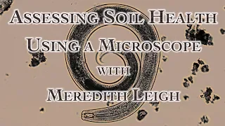Assessing Soil Health Using a Microscope with Meredith Leigh