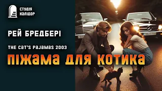 Рей Бредбері "Піжама для котика" #романтика #аудіокнигиукраїнською #рейбредбері #відносини #химерне