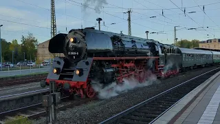 Sonderzug Riesa Leipzig hbf 2023