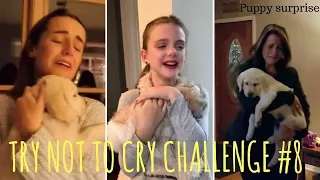 TRY NOT TO CRY CHALLENGE #8, Puppy surprise