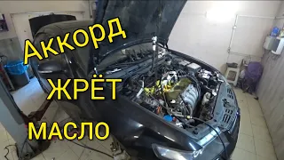 Honda Accord 7. Жор масла. Замена колпачков. Ремонт рейки