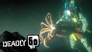 Swimming With An Angry Humboldt Squid! | Deadly 60 | BBC Earth Kids