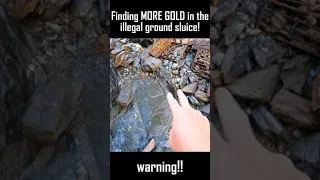 Finding more gold in the illegal ground sluice!! part 1