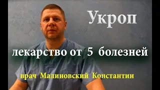 Пил укропную воду утром и на ночь. Вылечил 5 болезней и избавился от паразитов