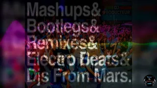 Djs From Mars - Electro Mashup Kings Part 12 - Banner Dj-Nounours Mashup