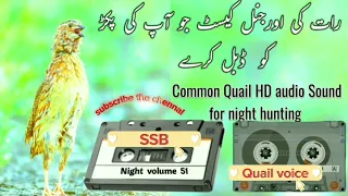 batair awaz raat k liye,quail voice for night hunting,