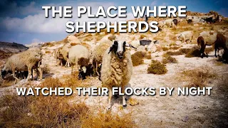 Where Shepherds Watched Their Flocks By Night | Jerusalem Dateline - December 21, 2023