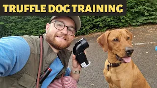 Truffle Dog Training In The Park