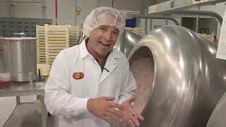 A Magic Journey: How Jelly Belly Jelly Beans Are Made