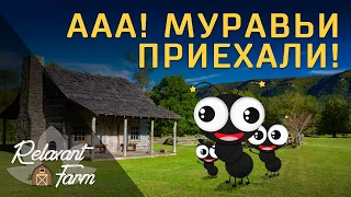 Relaxant Farm 🐜 Муравьи и Муравьиная ферма от "4Ants.ru"