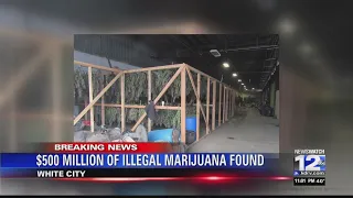 500,000 POUNDS OF OF ILLEGAL MARIJUANA SEIZED & DESTROYED DURING SEARCH IN WHITE CITY