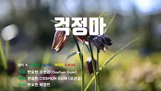 [은성 반주기] 걱정마 - 한요한.오션검(Osshun Gum)