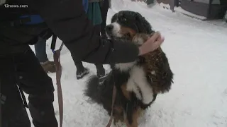 Over two feet of snow in Flagstaff