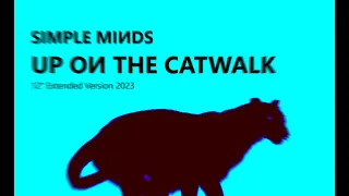 Simple Minds: Up on the Catwalk [12” Extended Version 2023, Unofficial]