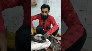 amberjack fish Cutting Live in Fish Market nawab khan