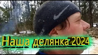 Наша делянка 2024 конец зимы