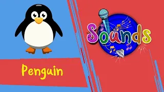 Sounds - Penguin