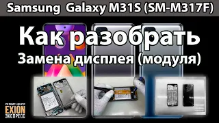 Samsung  Galaxy M31S (SM-M317F) - Полный разбор устройства и Замена дисплея