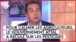 Agriculteurs : Attal cède sur les pesticides - L’Édito - C à vous - 01/02/2024