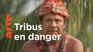 Amazonie, le barrage de trop | ARTE