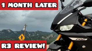 2019 YAMAHA YZF-R3 1 MONTH REVIEW | FIRST IMPRESSION | TOP SPEED | ACCELERATION | EXHAUST | BEGINNER