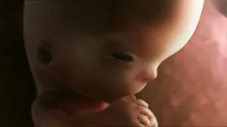 Le miracle de la vie (simulation 3D d'une grossesse) محاكاة الحمل ثلاثية الأبعاد