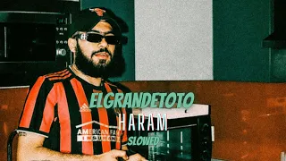 ElGrandeToto - Haram (Slowed)