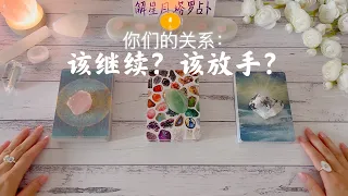 【关系占卜】继续吗？放手吗？🍸Ta目前对你们关系内心真实想法🦉对比你对这段关系想法！塔罗占卜关系可能的未来：如果选择继续未来会怎样？如果选择离开未来又会怎样？你们关系的连接究竟是什么？📍不适合稳定关系