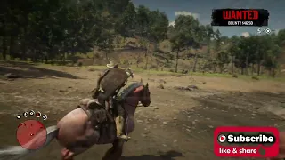 The bravest horse in the RDR2 - Nobody can deny this "A True Companion"