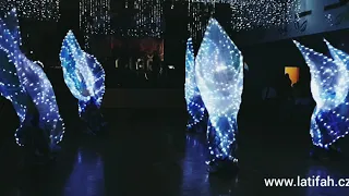 LED wings dance show