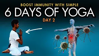 Day 2 - 6 days of Simple Yoga to Boost Immunity