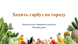 Відеозаняття з ознайомлення із природним довкіллям "Ходить гарбуз по городу" Молодша група