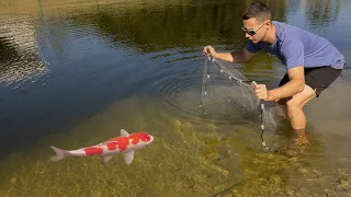 NET TRAP CATCHES COLORFUL Fish For PRIME!