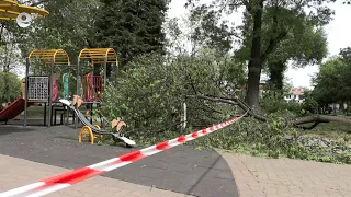 Силният вятър събори клони на дървета върху детска площадка в Хасково