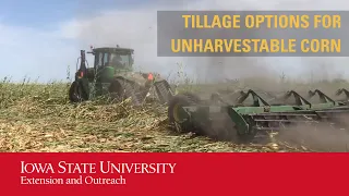 Tillage Options for Unharvestable Corn