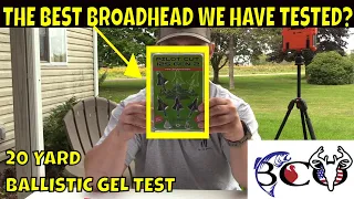 testing the kayuga pilot gen 2 single bevel broadhead | bco review |