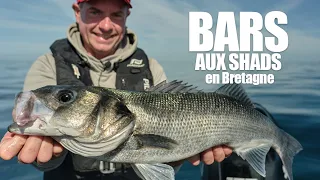 Pêche du bar au shad autour de Belle Île en Mer