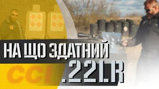 Що зможе пробити .22 LR. Тест набоїв