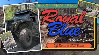 Royal Blue & Tackett Creek  SxS Ride 4-20-24