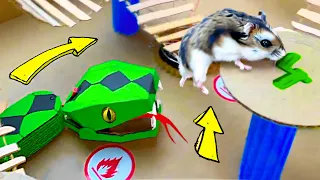 🐹🐍Snake Hamster Maze with Traps 😱[OBSTACLE COURSE]😱 + BONUS