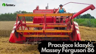 Pracujące klasyki: Massey Ferguson 86 | Farmer.pl