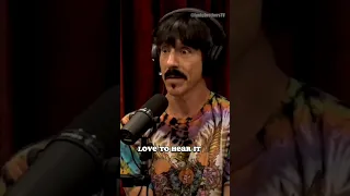 Anthony Was SHY About Under the Bridge ❤️ #shorts #anthonykiedis #joerogan