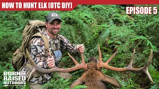 How to FIND ELK during SEASON
